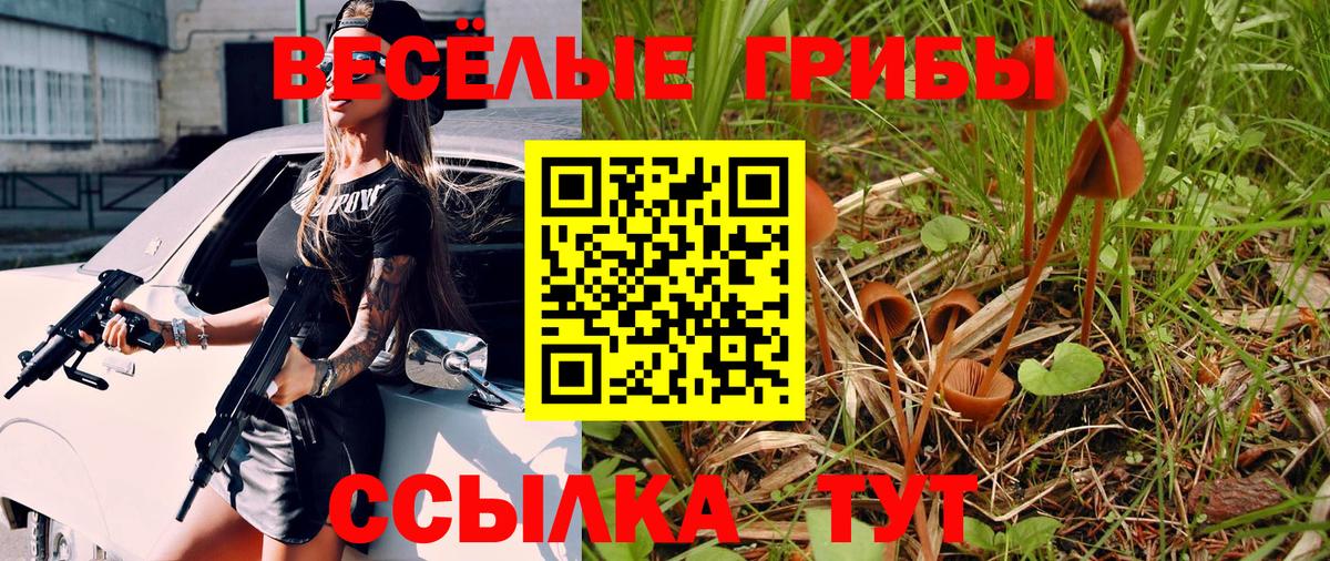 Светлоград  где найти наркотики  Вход с VPN  Псилоцибиновые грибы мухоморы 