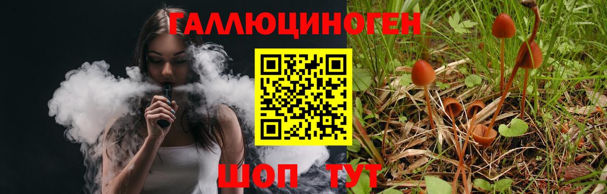 Псилоцибиновые грибы Cubensis Светлоград